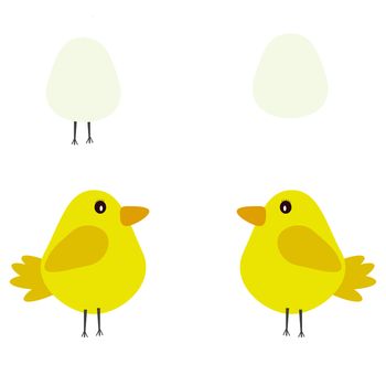 chicks and eggs