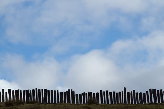 A traditional slate fence, irregular, with gaps on grass with tufts. A clody blue sky makes the background with space for consumer information.