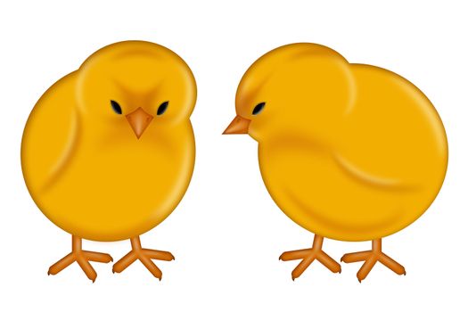 Happy Easter Day Yellow Baby Chicks Illustration