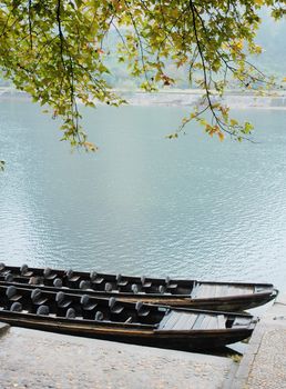 Scenery of boats under the trees at riverside