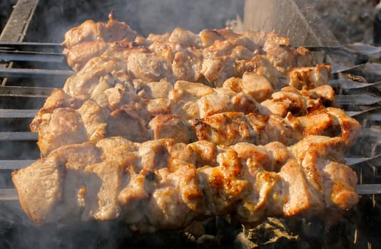 outdoor picnic; some pieces of meat broiled on a brazier