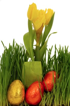 Easter eggs, flowers and green grass