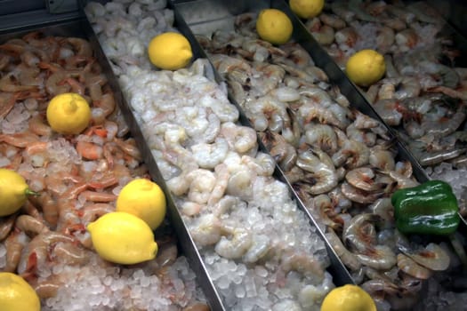 A display of shrimp at a fish market