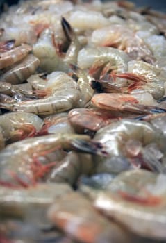 A pile of shrimp at a fish market