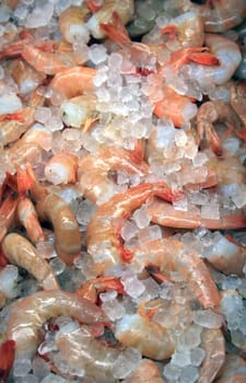 A icey pile of shrimp at a fish market