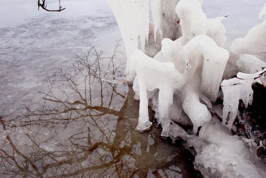 Icicles adorned the branches of trees by the lake