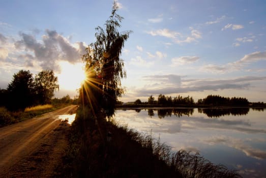 Evening way through the birch and lake