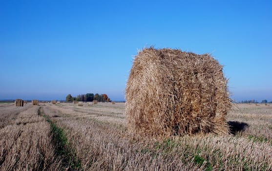 Straw bales predicts autumn in late summer