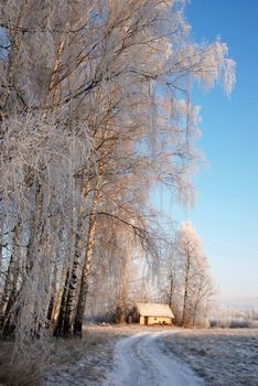 Winter road in the village through a small bath