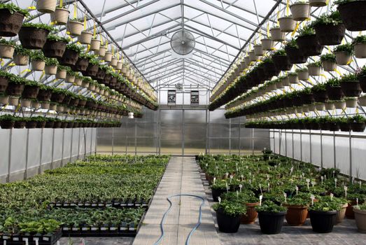 A small greenhouse at garden nursery.