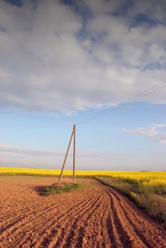 Spring evening plowing between flowering fields