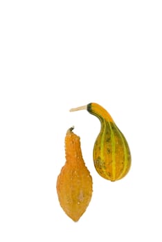 Two mottled ornamental pumpkins isolated on a white background