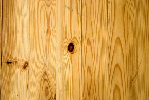 Background of old pine floors with branches