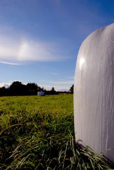 White roll of hay is a mark of midsummer