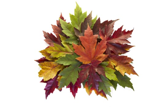 Maple Leaves Mixed Fall Colors Autumn Wreath on White Background