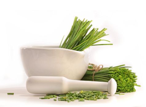Fresh cut chives with a mortar and pestle on white