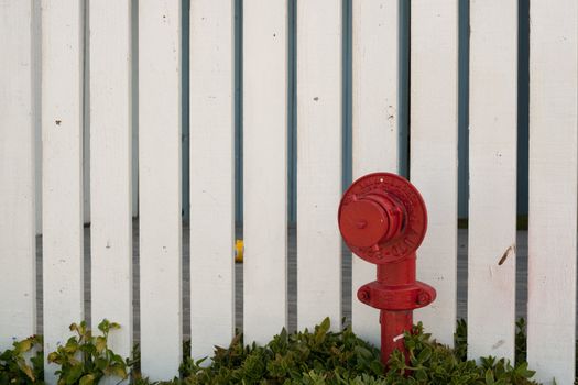 A fire hydrant in front of a white slatted wood fence.