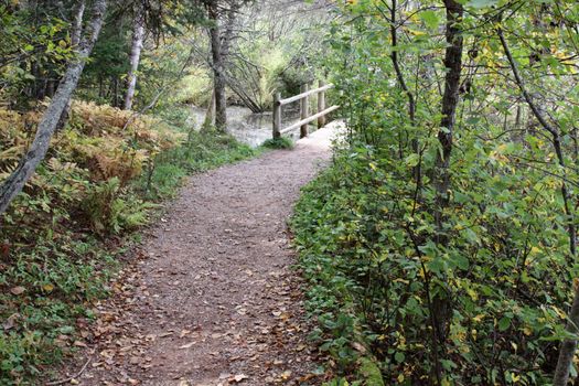 A path in the woods that was the inspiration for the "Haunted Wood" at Anne of Green Gables National Park in Prince Edward Island, Canada. 