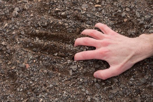 Man's hand clinging to a stony ground