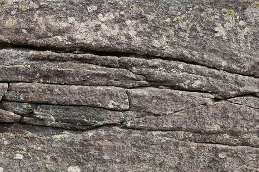Surface of a granite rock covered with a lichen - background