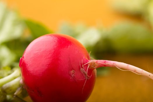 radish on a wood cutting board leaves and roots