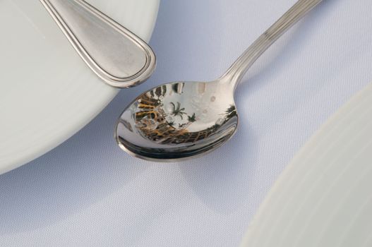 Close-up of a spoon at a wedding receptions' dinner showing the reflection of the palm trees & resort around it.