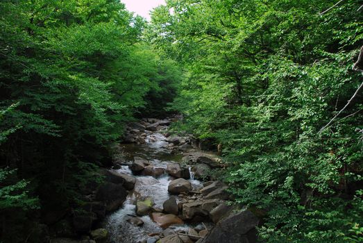 Picture of a natural small water fall in summer