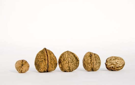 Different sizes walnuts isolated on a white background