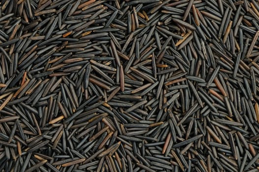 Top view of raw wild rice in natural light