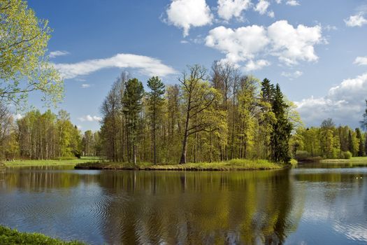 Beautiful pond with spring trees and blue sky