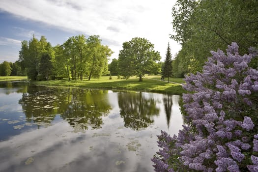 Summer landscape with water and blossoming lilac