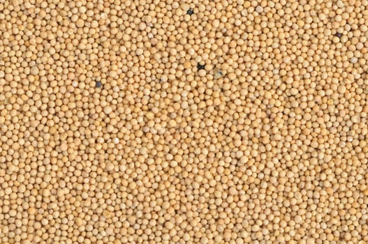 Top view of mustard seeds in natural light