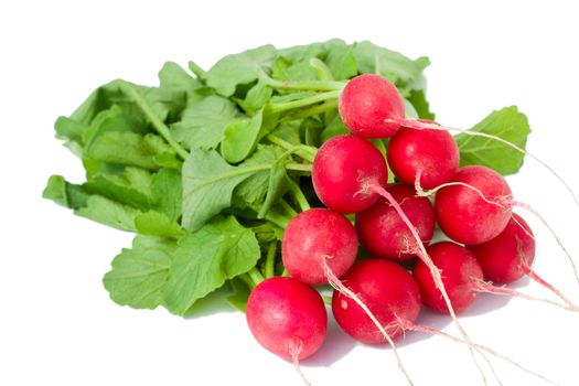 bunch of red ripe radish, isolated on white