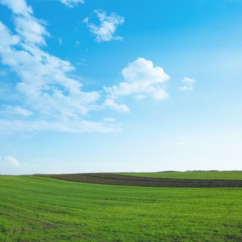 Agricultural field with clouds in the blue sky