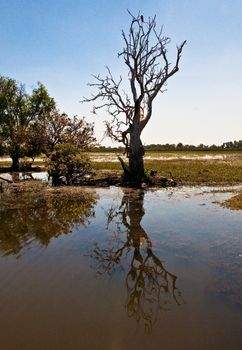 landscape of Kakadu National Park, australia
