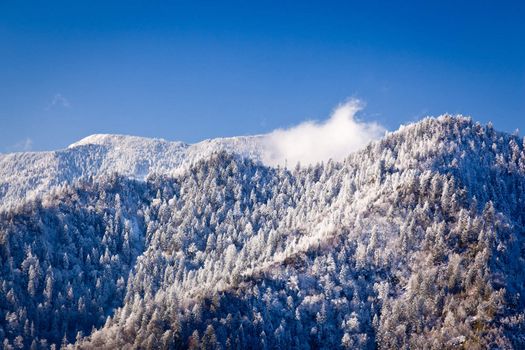 Famous Smoky Mountain view of Mount Leconte covered in snow in early spring