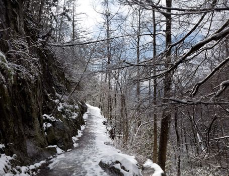 Hiking a snow covered path in the Smoky Mountains in winter