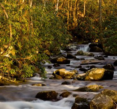 River floods down the hillside in the Smoky Mountains in spring as the setting sun lights the valley