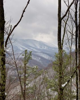 View over distant Smoky Mountains in winter between trunks of trees