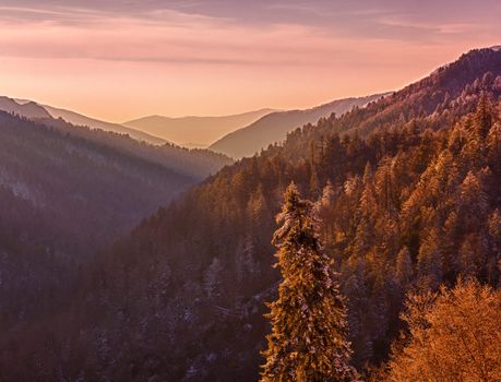 Sun setting in valley in Smokies as snow covers the branches of trees