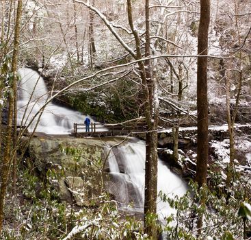 Snow covers the leaves and mountain as Laurel falls cascades over the mountain and lone hiker stands on bridge