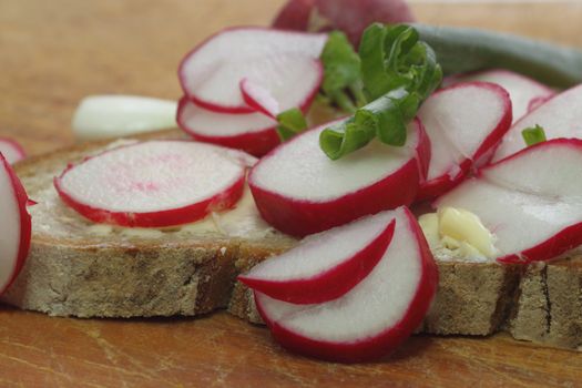Fresh radish bread with spring leek as background