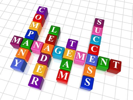 3d colour cubes crossword - management; company; leader; team; success