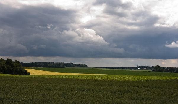 Fields with potatoes, cereals, farms and forest in summer with sunshine and cloudy sky