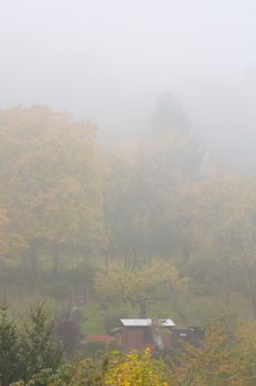 This image shows a foggy day in autumn