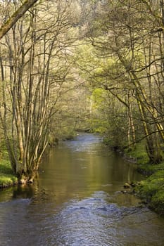 This image shows a quiet river in the wilderness