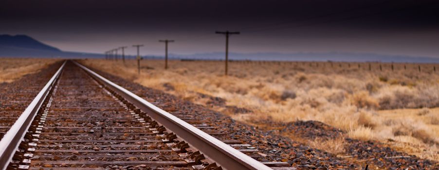 A photograph of a railroad.  The sharp metal rails are pulling your eye through the photograph.