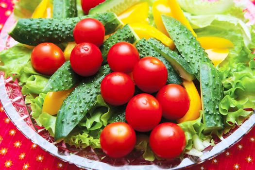Cherry tomatoes with delicious slices of cucumber and peppers laid out on lettuce leaves