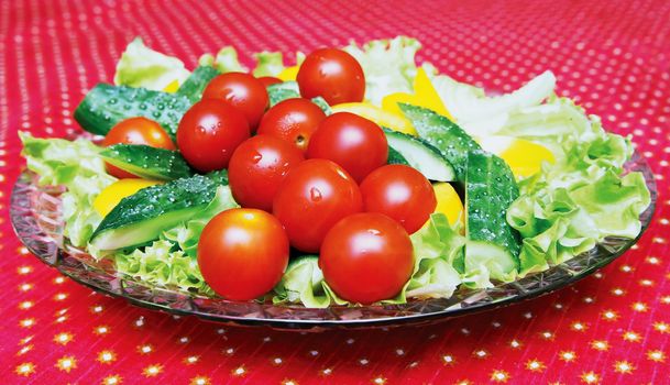 Dish with the expansion of its tomatoes, cucumbers, peppers and lettuce listmi