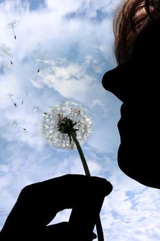 a silhouetted beautiful dandelion being gently blown by a middle aged woman in a garden against a cloudy sky
